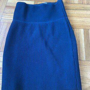 Aritzia Blue Bodycon Mini Skirt- XS